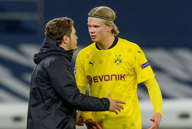 才能在投资 才能在投资