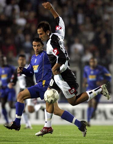 对位明确的 对位明确的